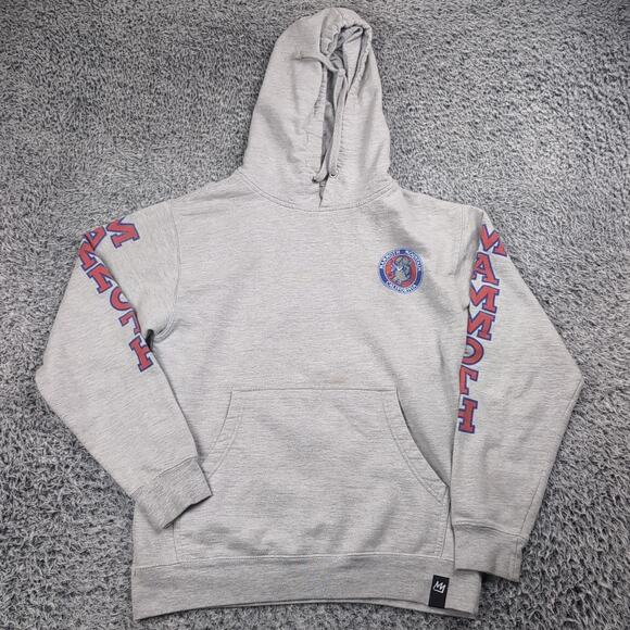 Mammoth Mountain Sweatshirt Men Small Gray California Graphic Pullover Hoodie - Picture 1 of 6